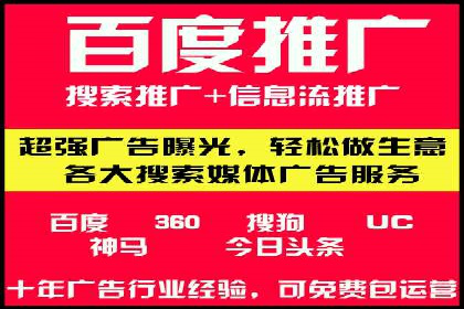 百度SEO推广案例解析与效果评估